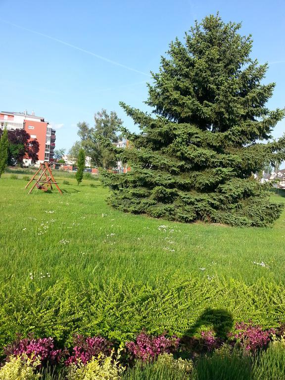 Surman Apartmanok Σίοφοκ Εξωτερικό φωτογραφία